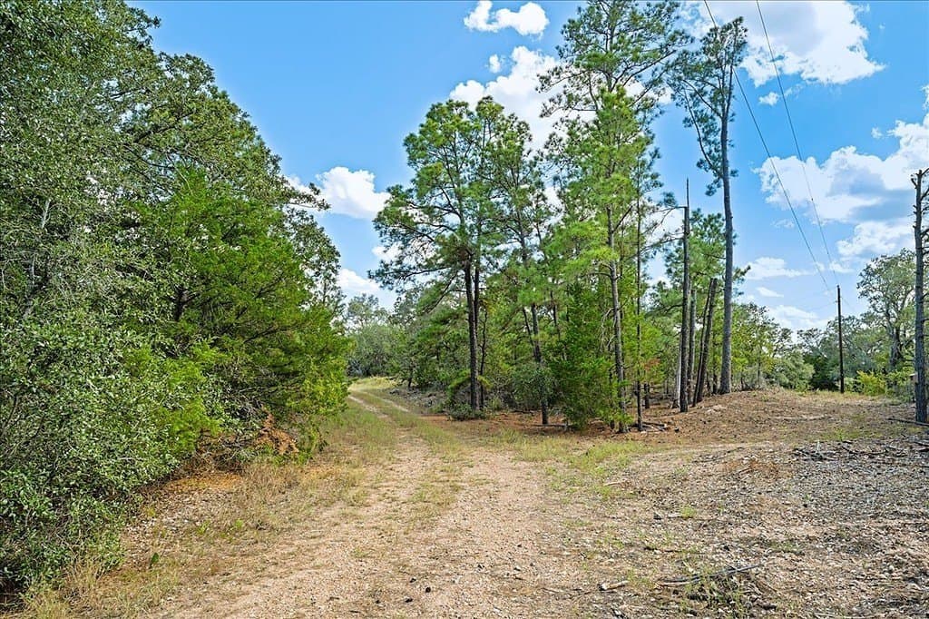 14.69 acres in Fayette County - photo 7