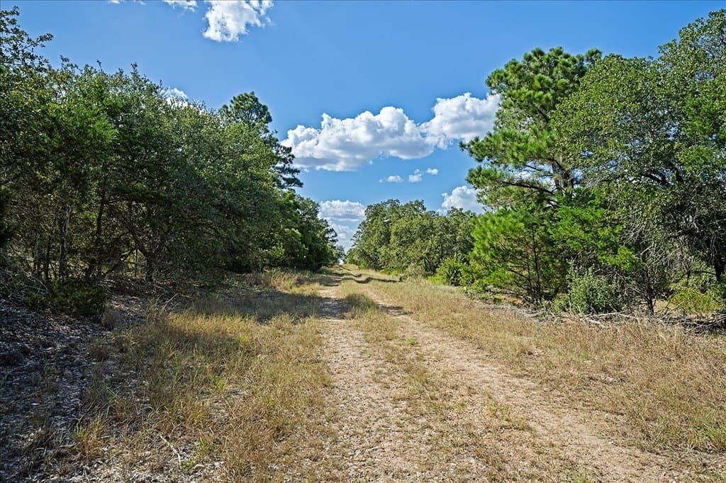 14.69 acres in Fayette County - photo 5