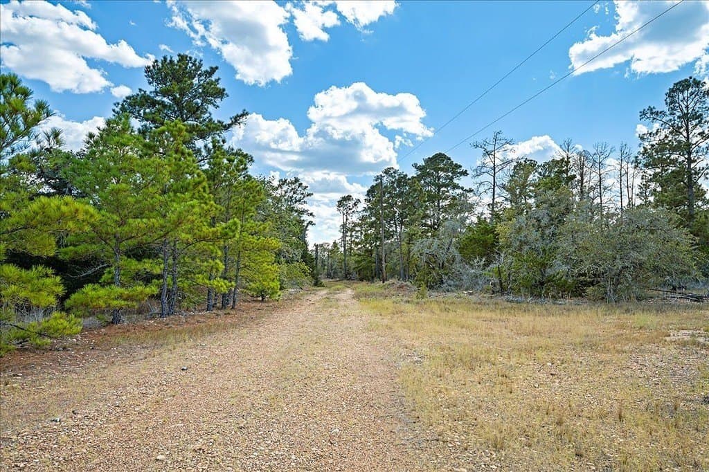 14.69 acres in Fayette County - photo 3