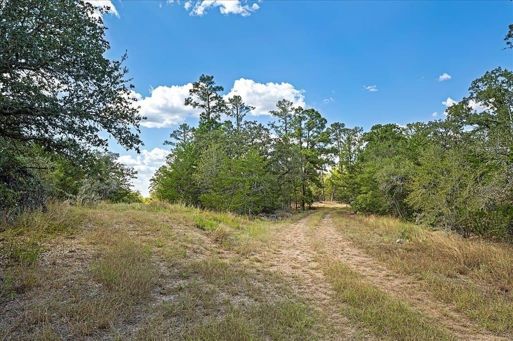 14.69 acres in Fayette County - photo 6