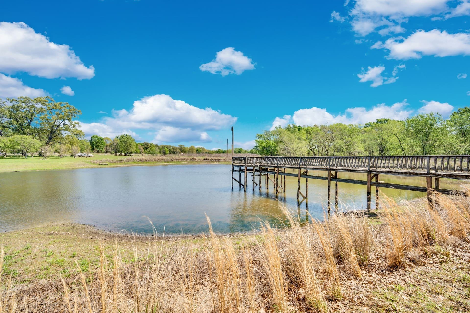13.09 acres in Rains County gallery image 4
