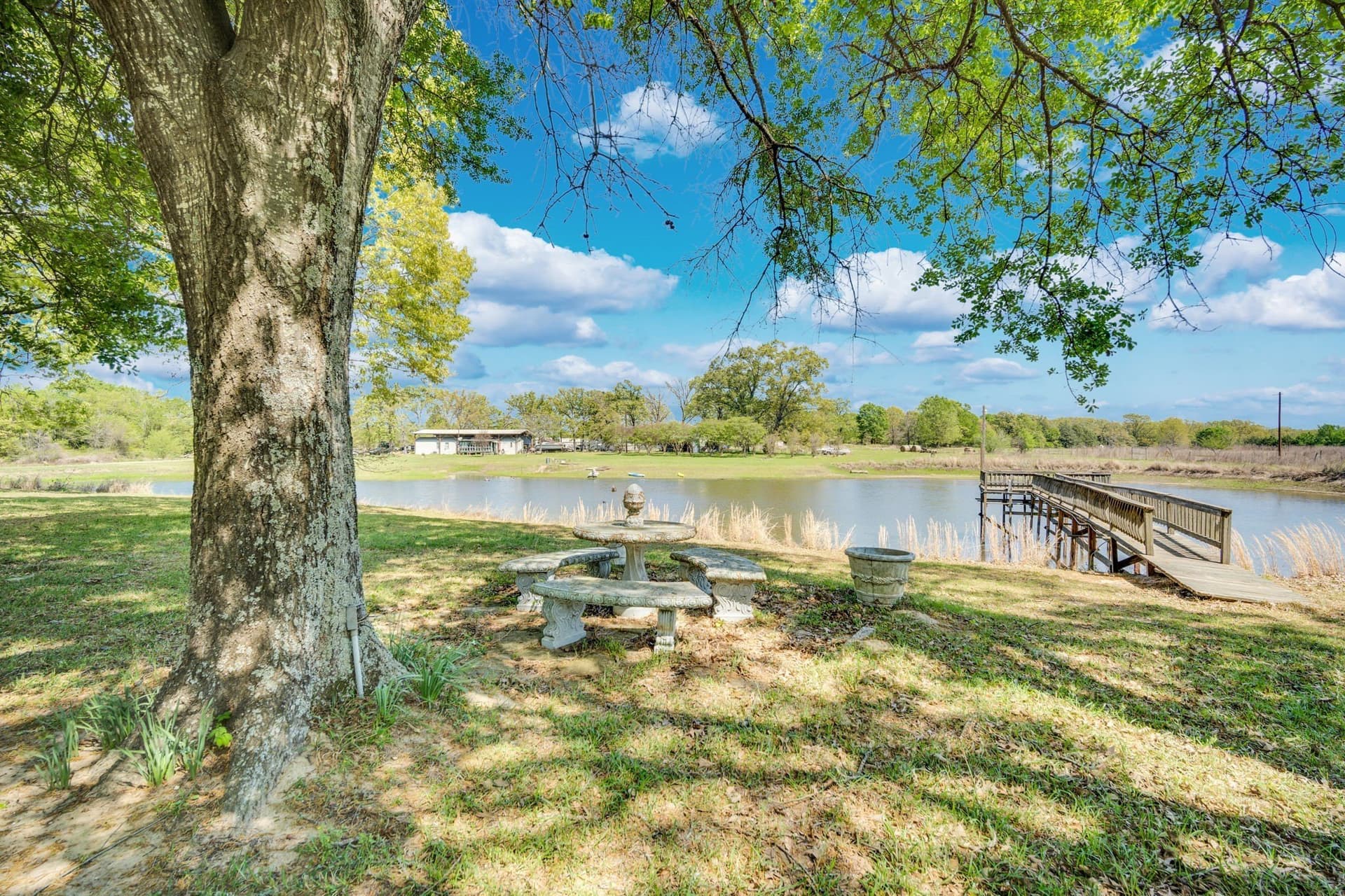 13.09 acres in Rains County featured view