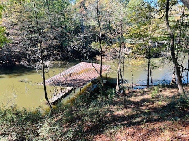 0.87 acres in Texas County - photo 6