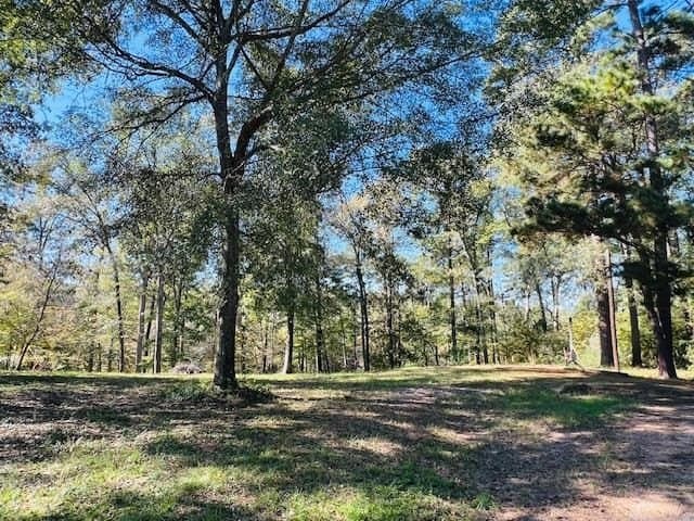 0.87 acres in Texas County - photo 2