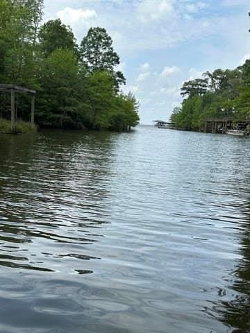0.87 acres in Texas County - photo 4
