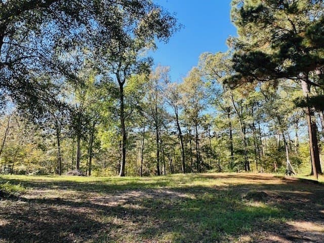 0.87 acres in Texas County - photo 3