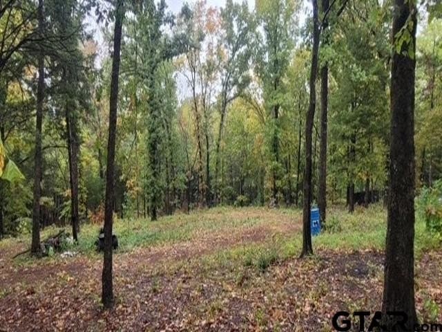 7.09 acres in Cherokee County gallery image 2