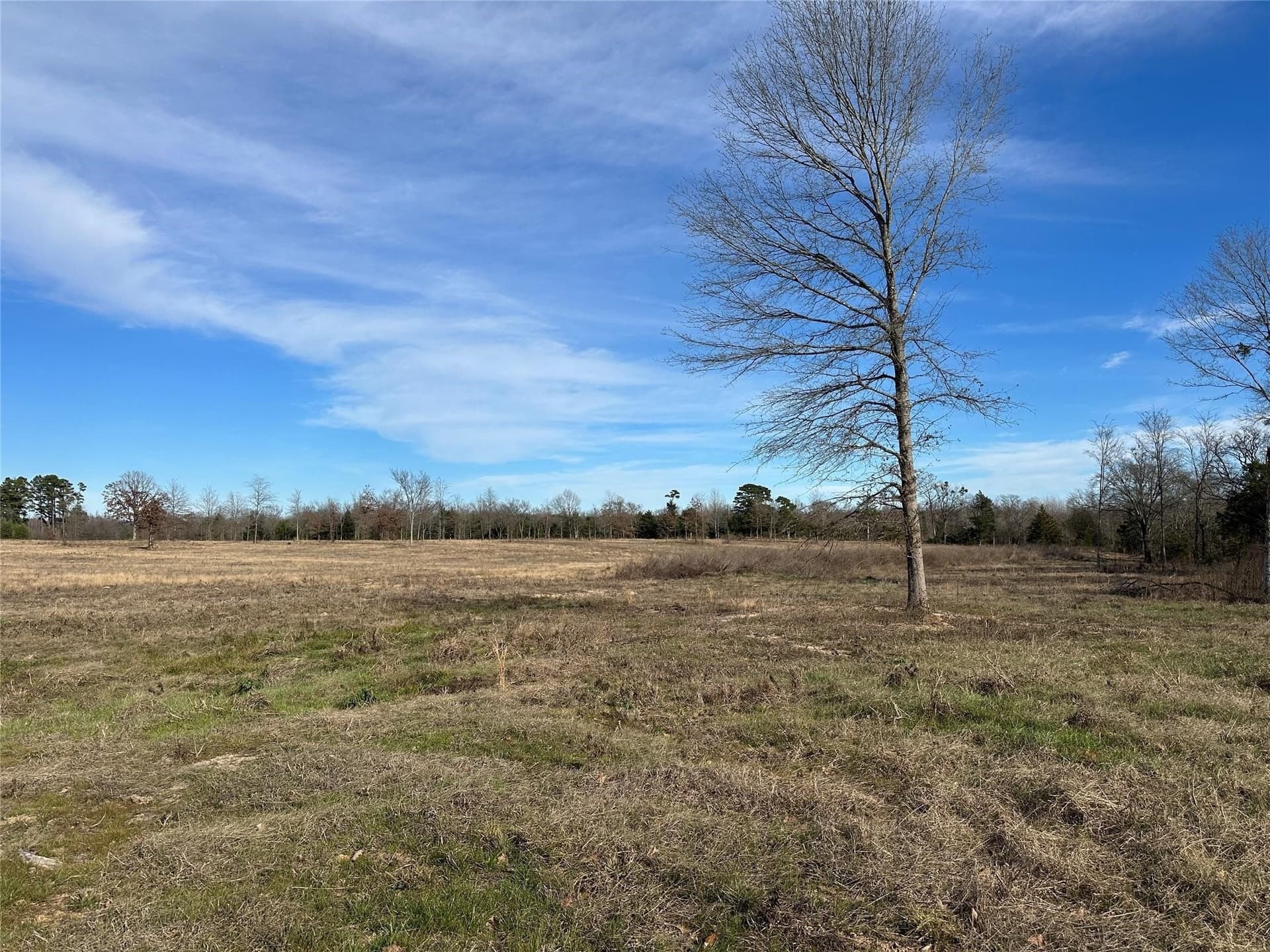 35.26 acres in Hopkins County - photo 8