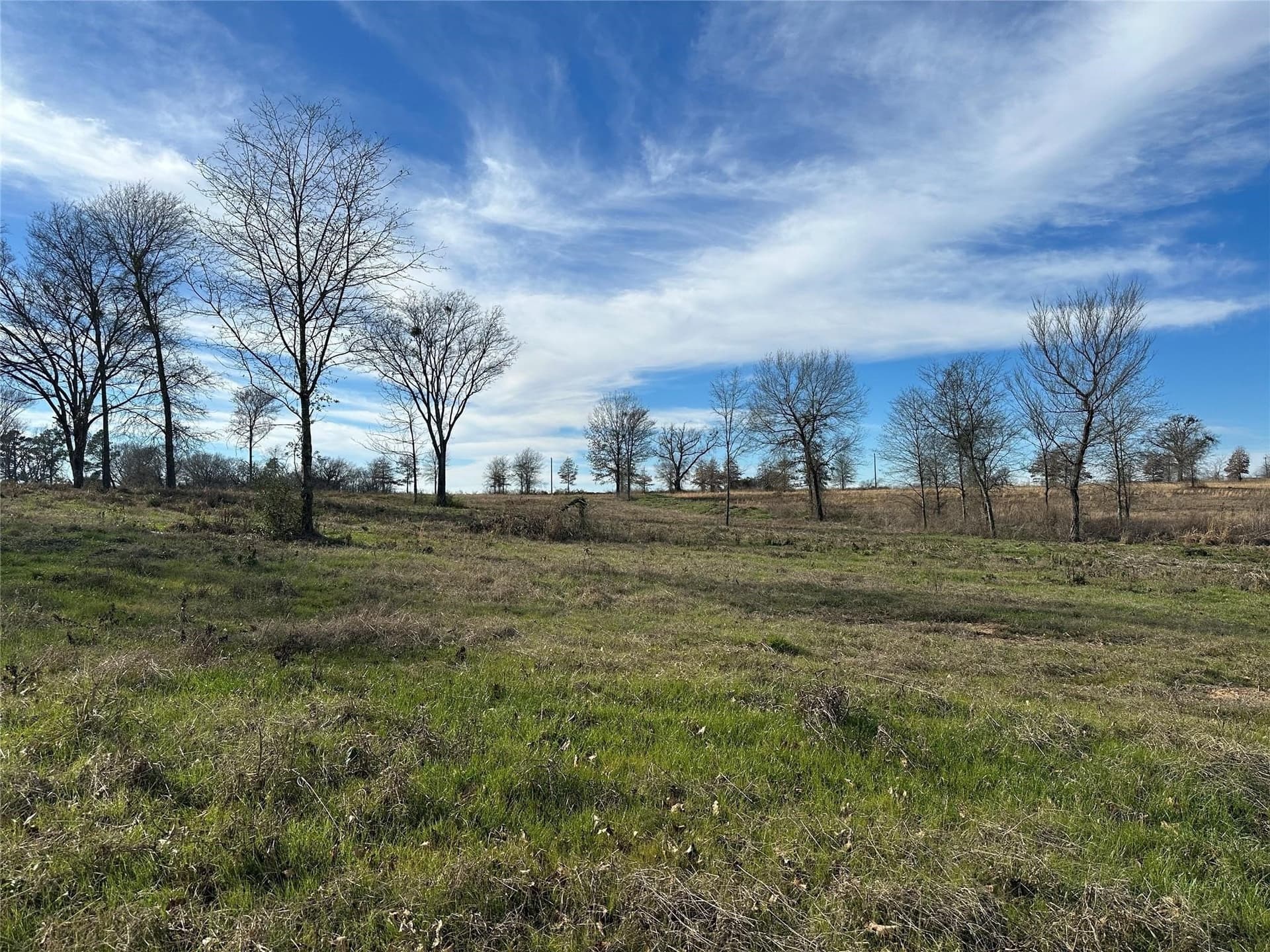 35.26 acres in Hopkins County - photo 9