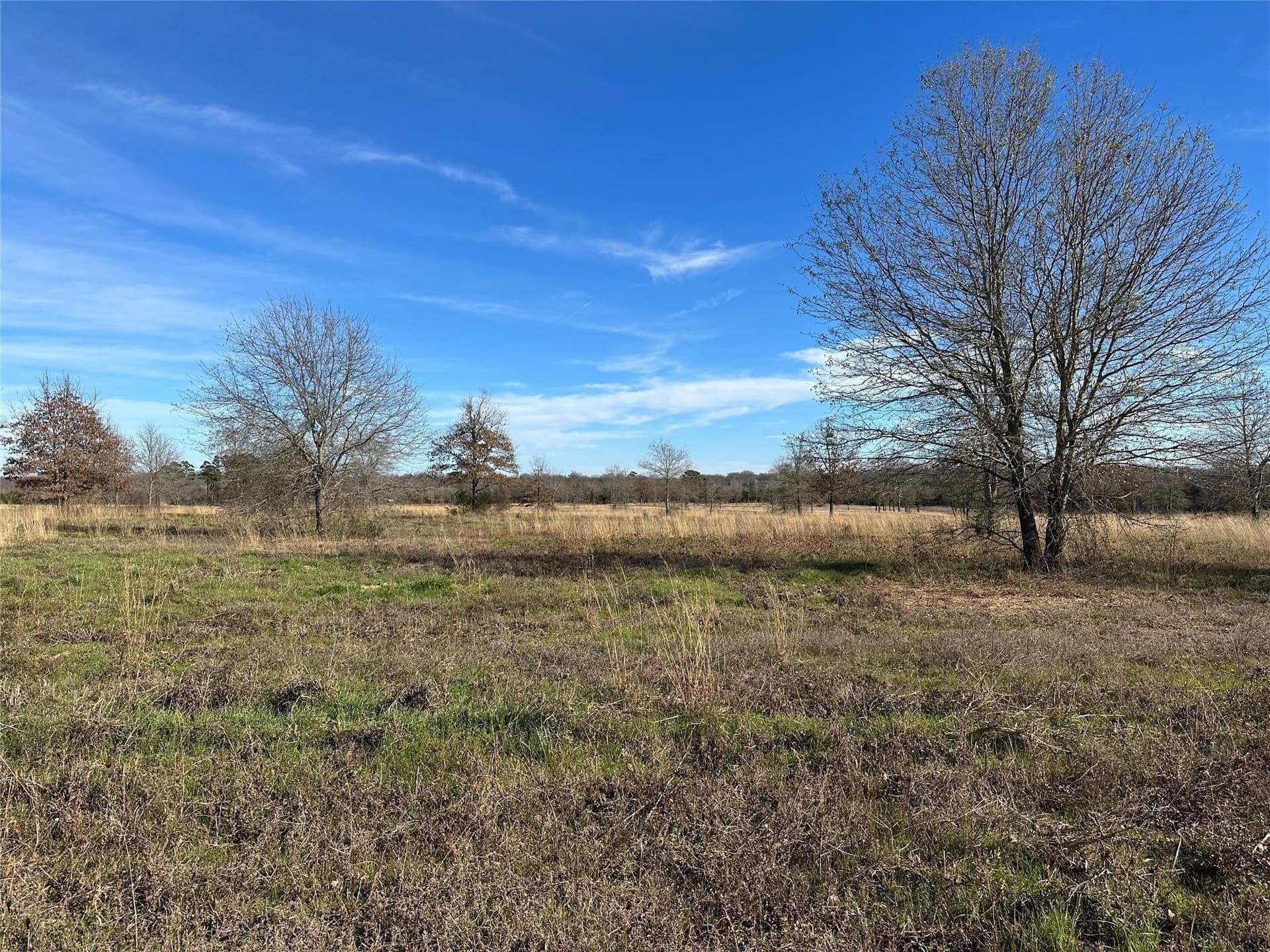 35.26 acres in Hopkins County - photo 20