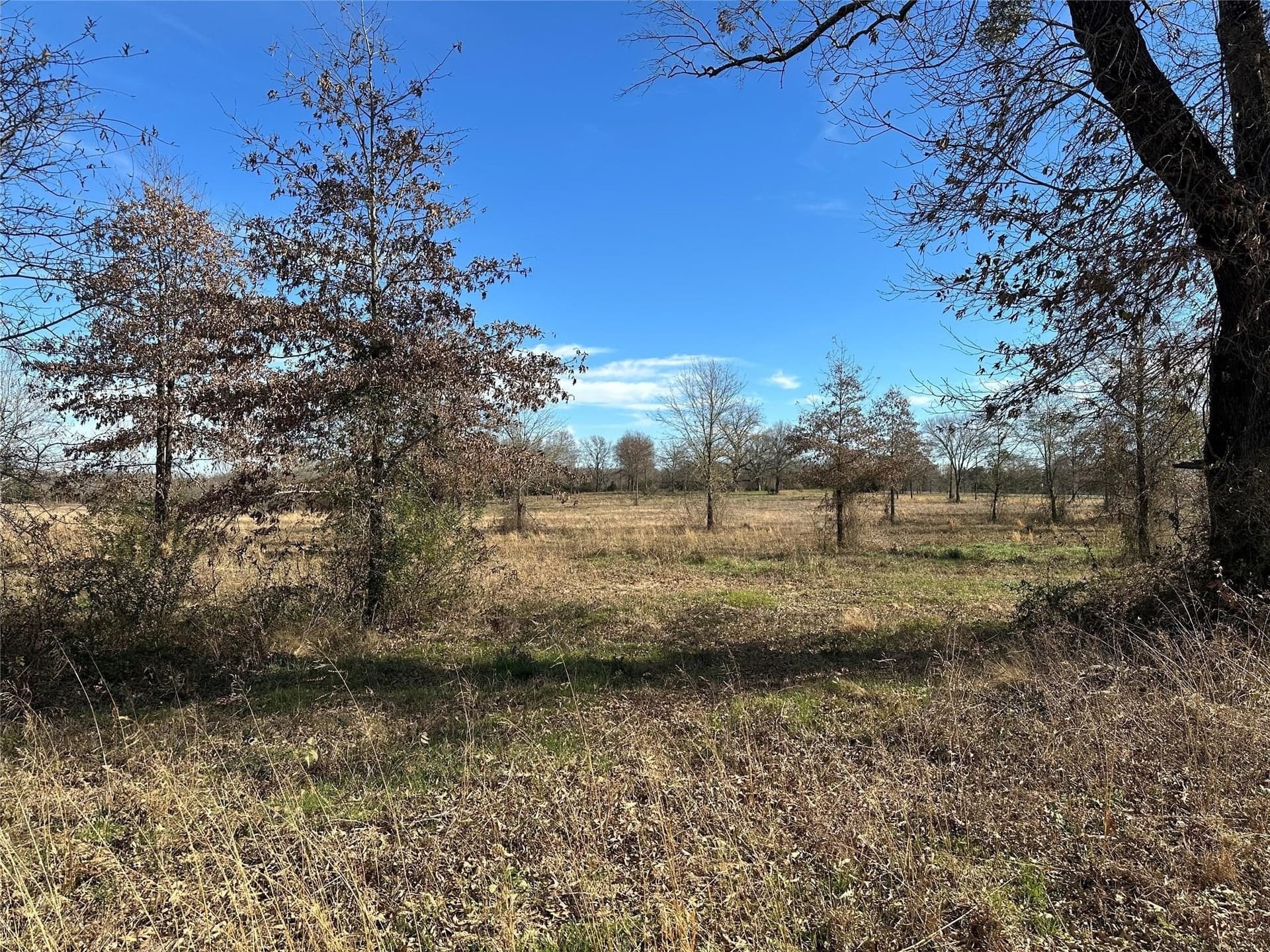 35.26 acres in Hopkins County - photo 19
