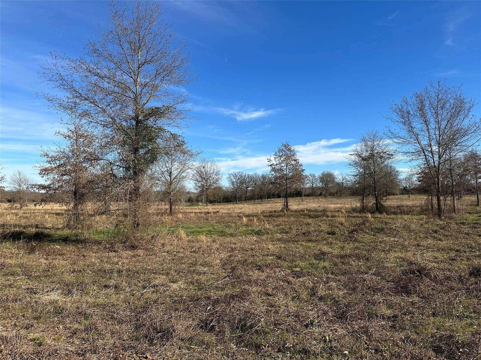 35.26 acres in Hopkins County - photo 18