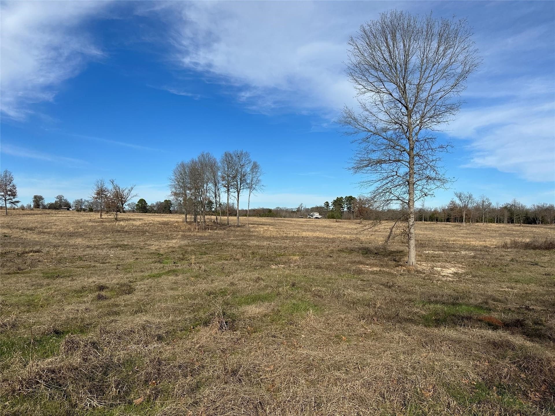 35.26 acres in Hopkins County - photo 10