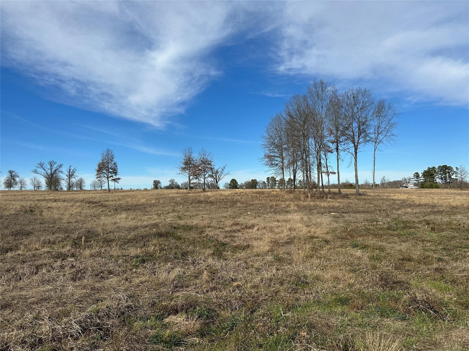 35.26 acres in Hopkins County gallery image 4