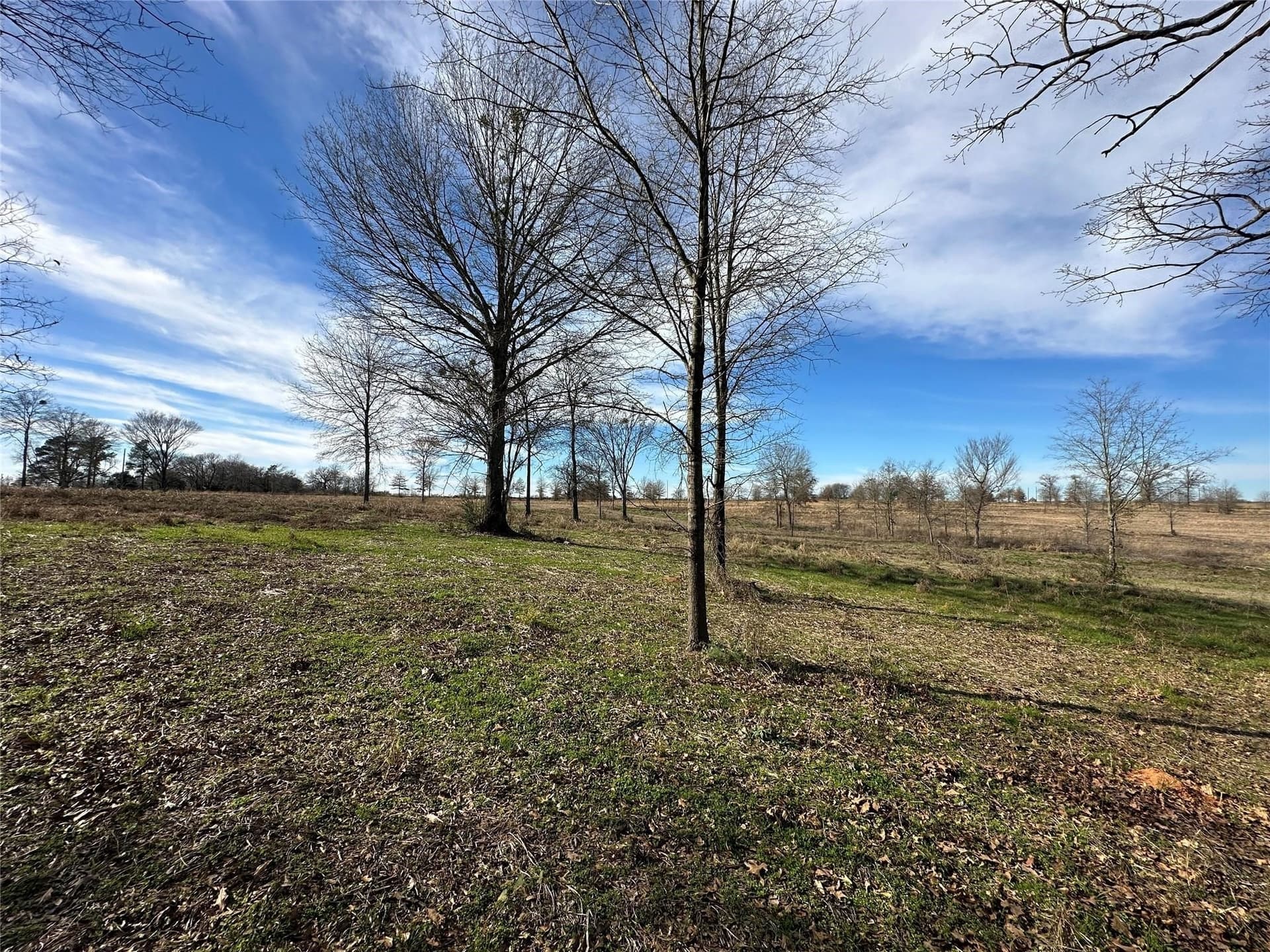 35.26 acres in Hopkins County - photo 13