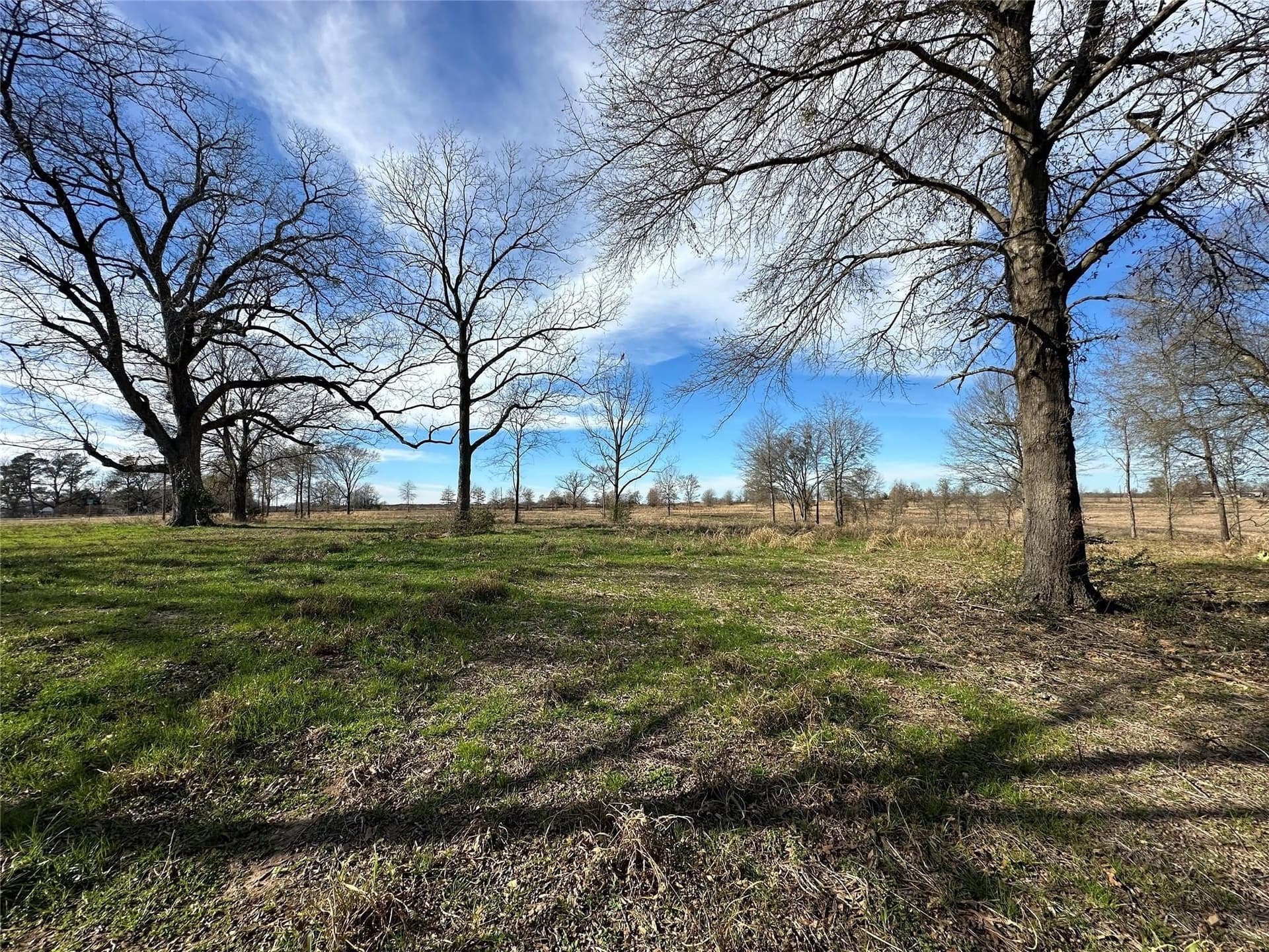 35.26 acres in Hopkins County - photo 15