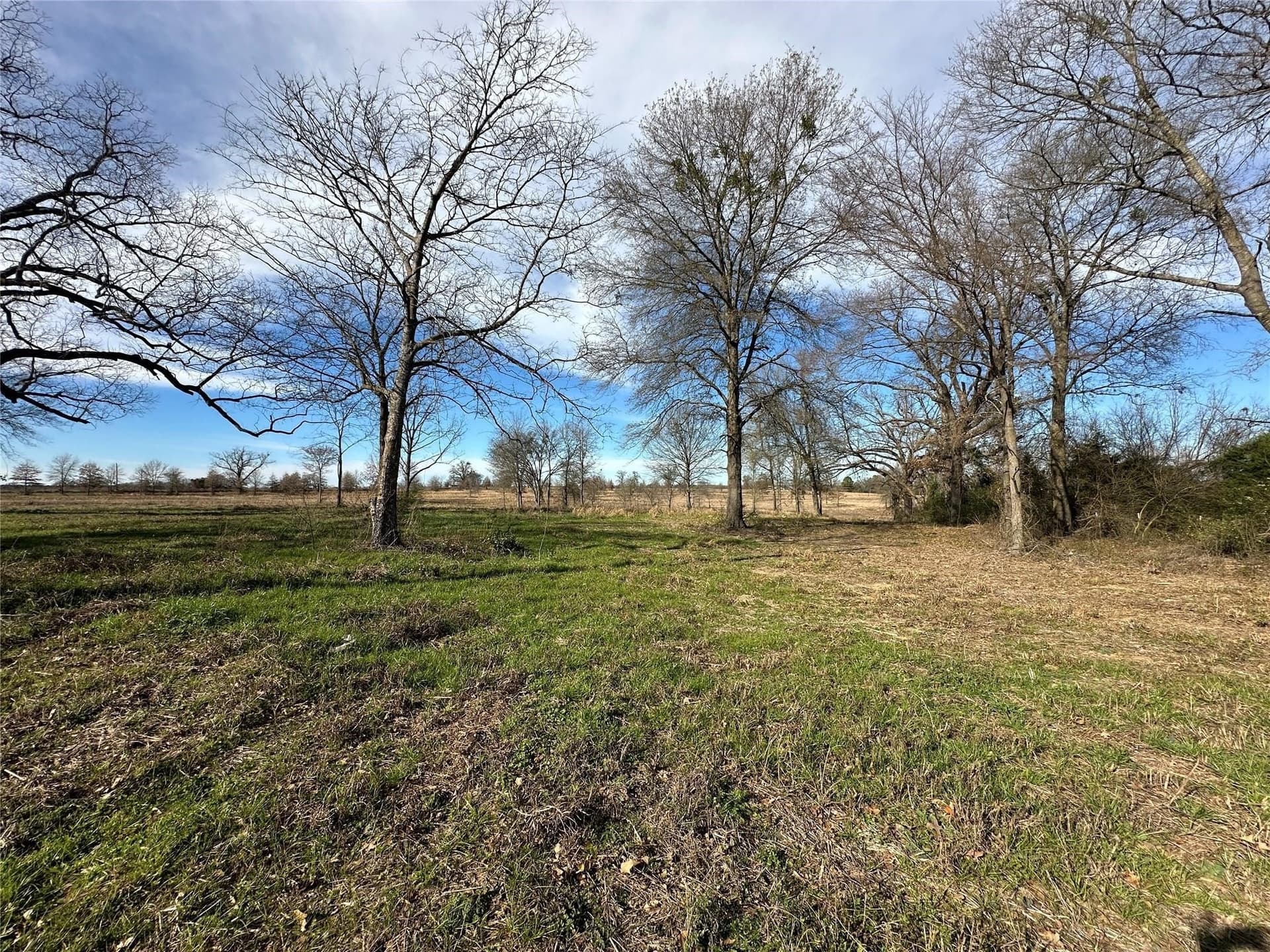35.26 acres in Hopkins County - photo 17