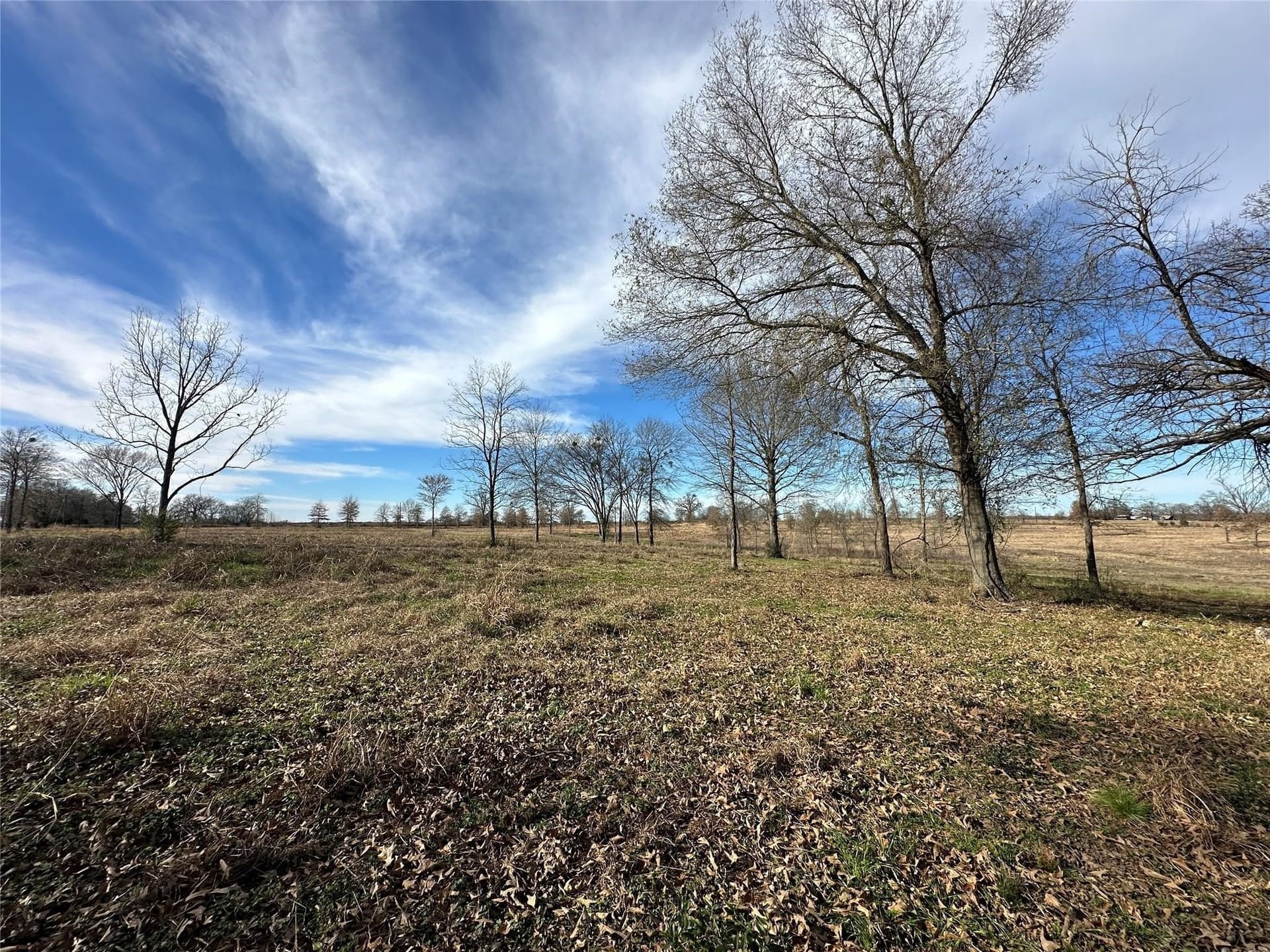 35.26 acres in Hopkins County - photo 16