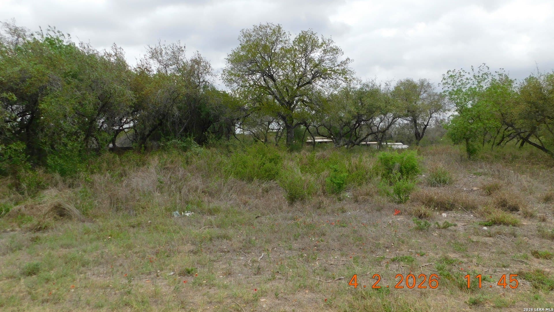 0.6 acres in Atascosa County - photo 6