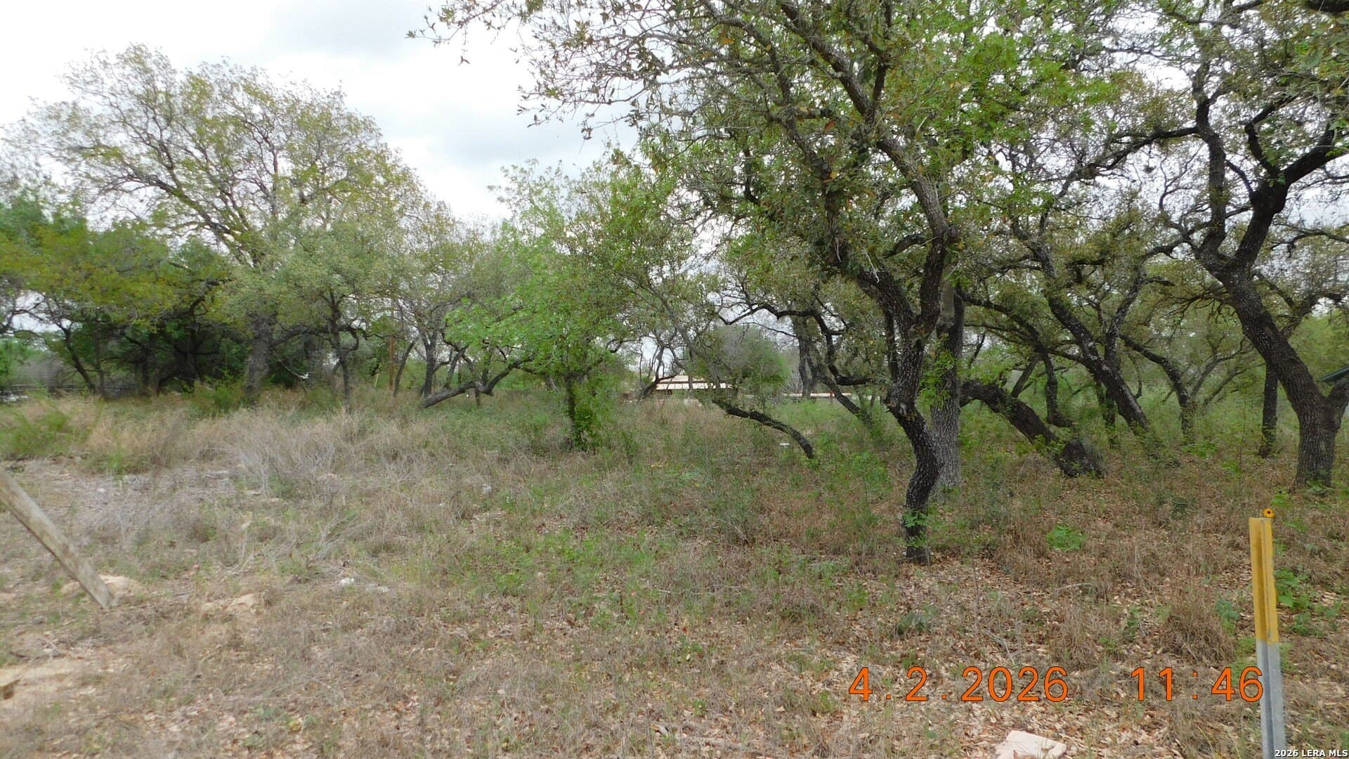 0.6 acres in Atascosa County gallery image 4