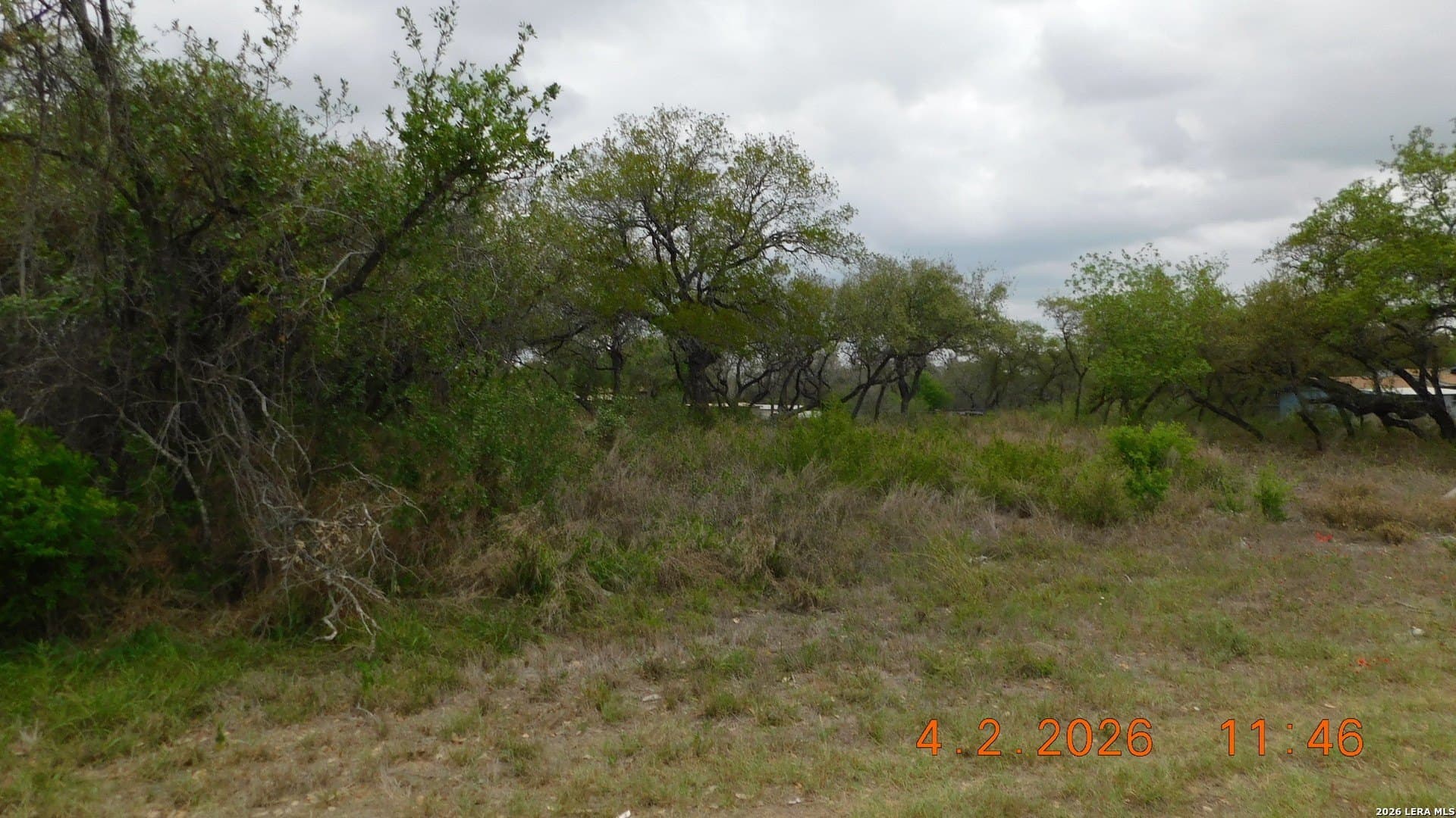 0.6 acres in Atascosa County featured view