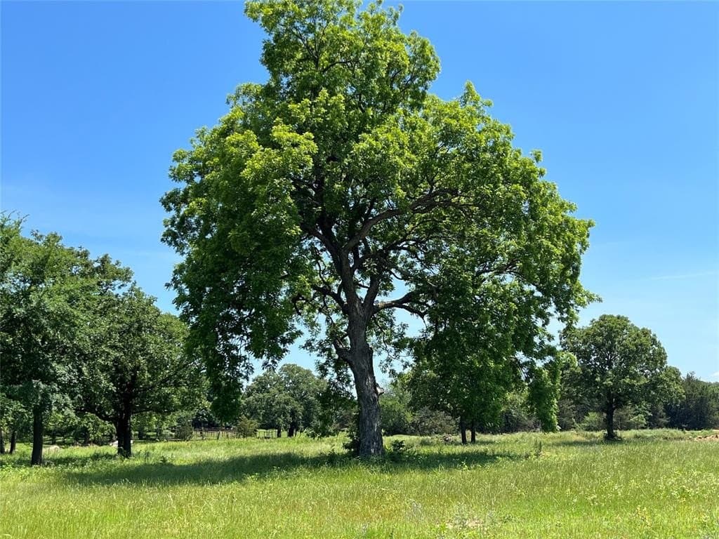 4 acres in Cooke County