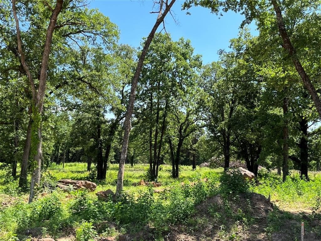 4 acres in Cooke County featured view