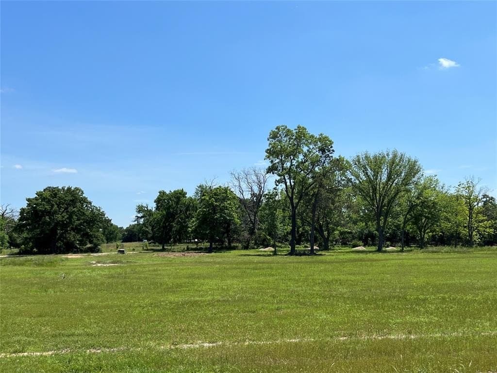 4 acres in Cooke County gallery image 2