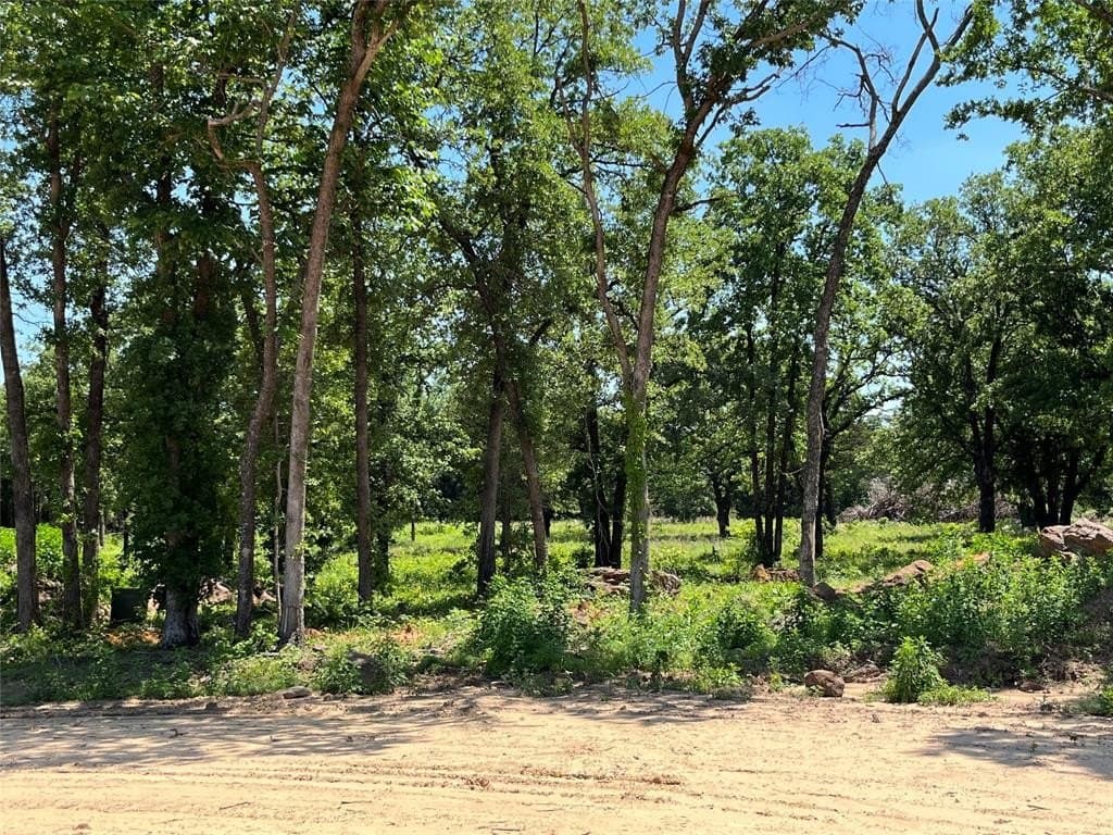 4 acres in Cooke County gallery image 3