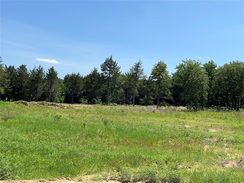 4 acres in Cooke County gallery image 4