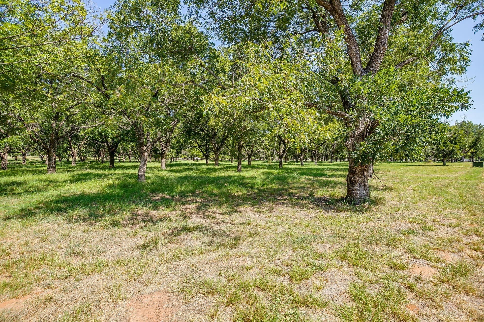 1.54 acres in Hood County - photo 13
