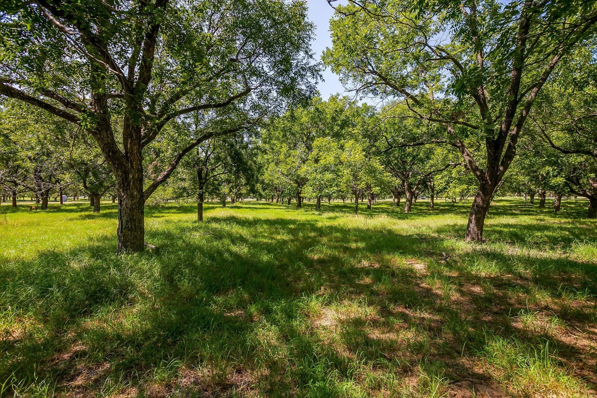 1.54 acres in Hood County - photo 17