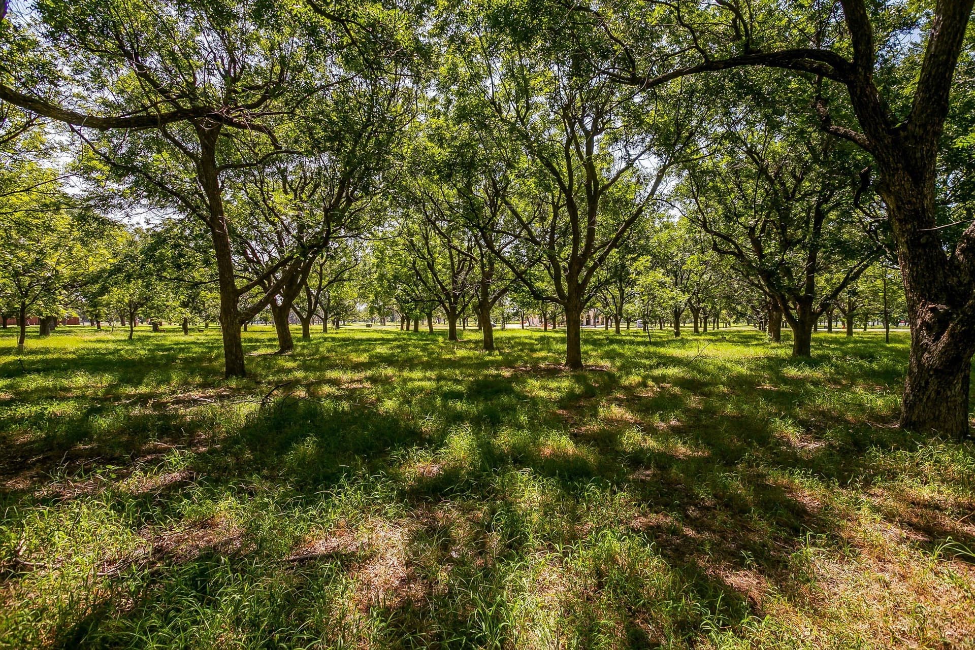 1.54 acres in Hood County - photo 2