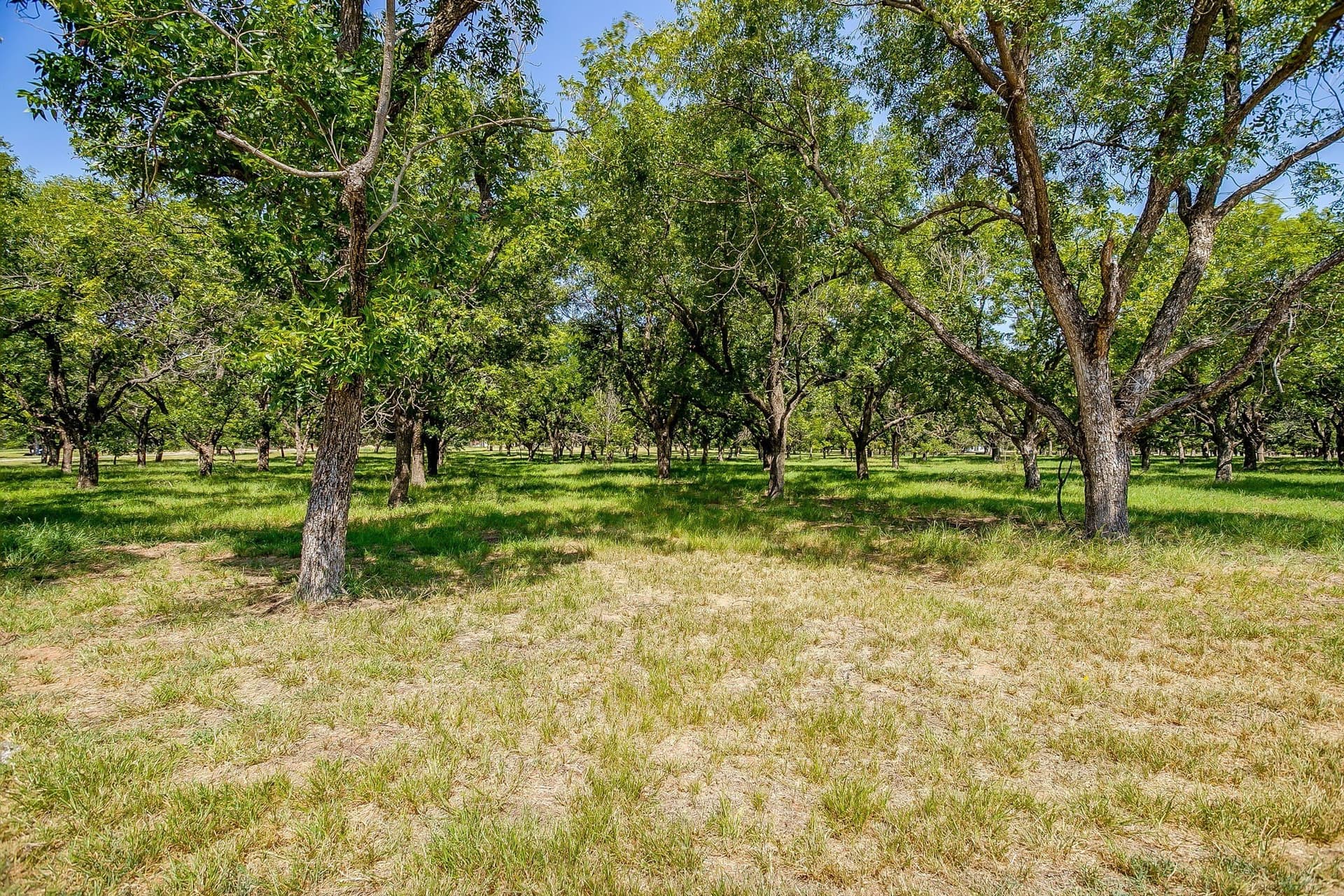 1.54 acres in Hood County - photo 12