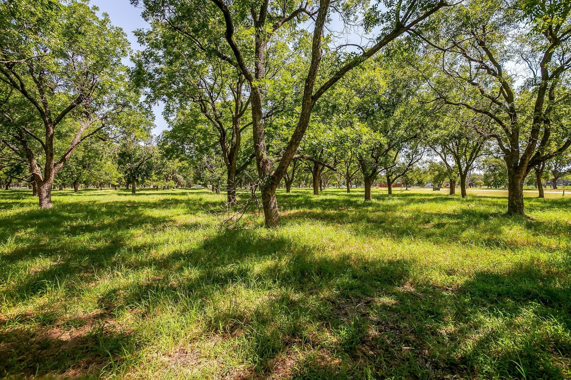 1.54 acres in Hood County - photo 14