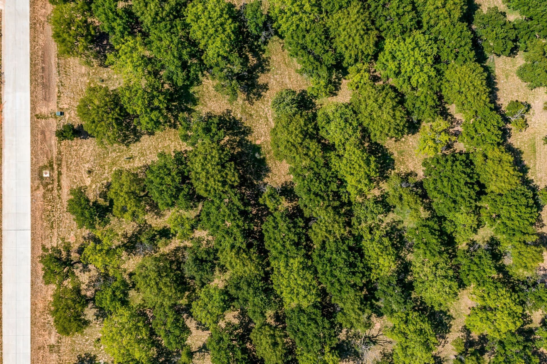1.54 acres in Hood County - photo 11