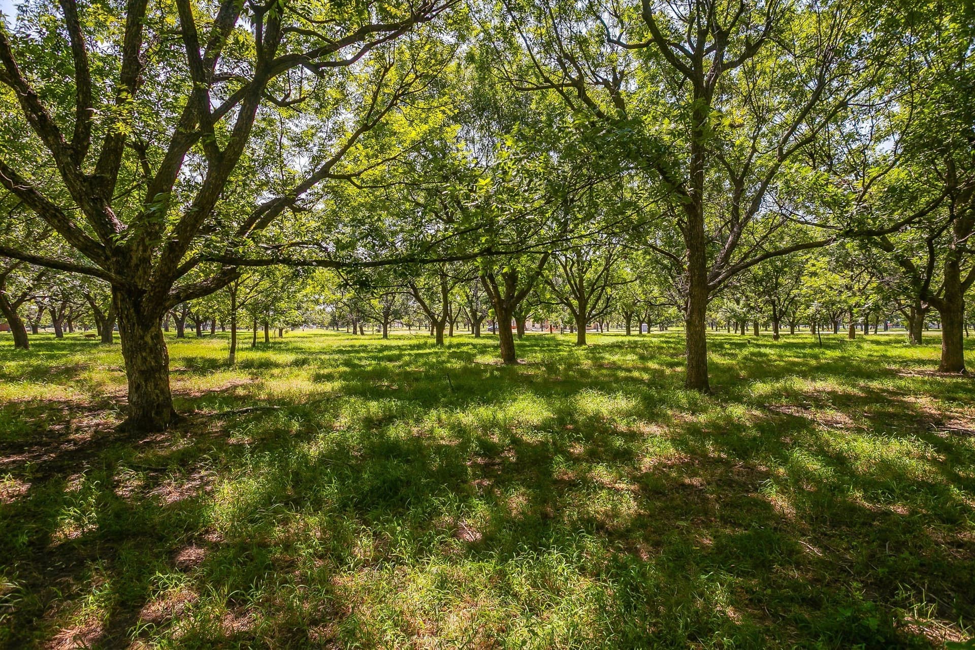 1.54 acres in Hood County - photo 15