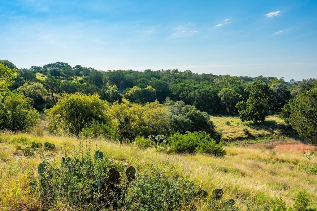 91.28 acres in Kerr County - photo 75