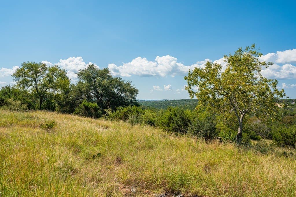 91.28 acres in Kerr County - photo 80