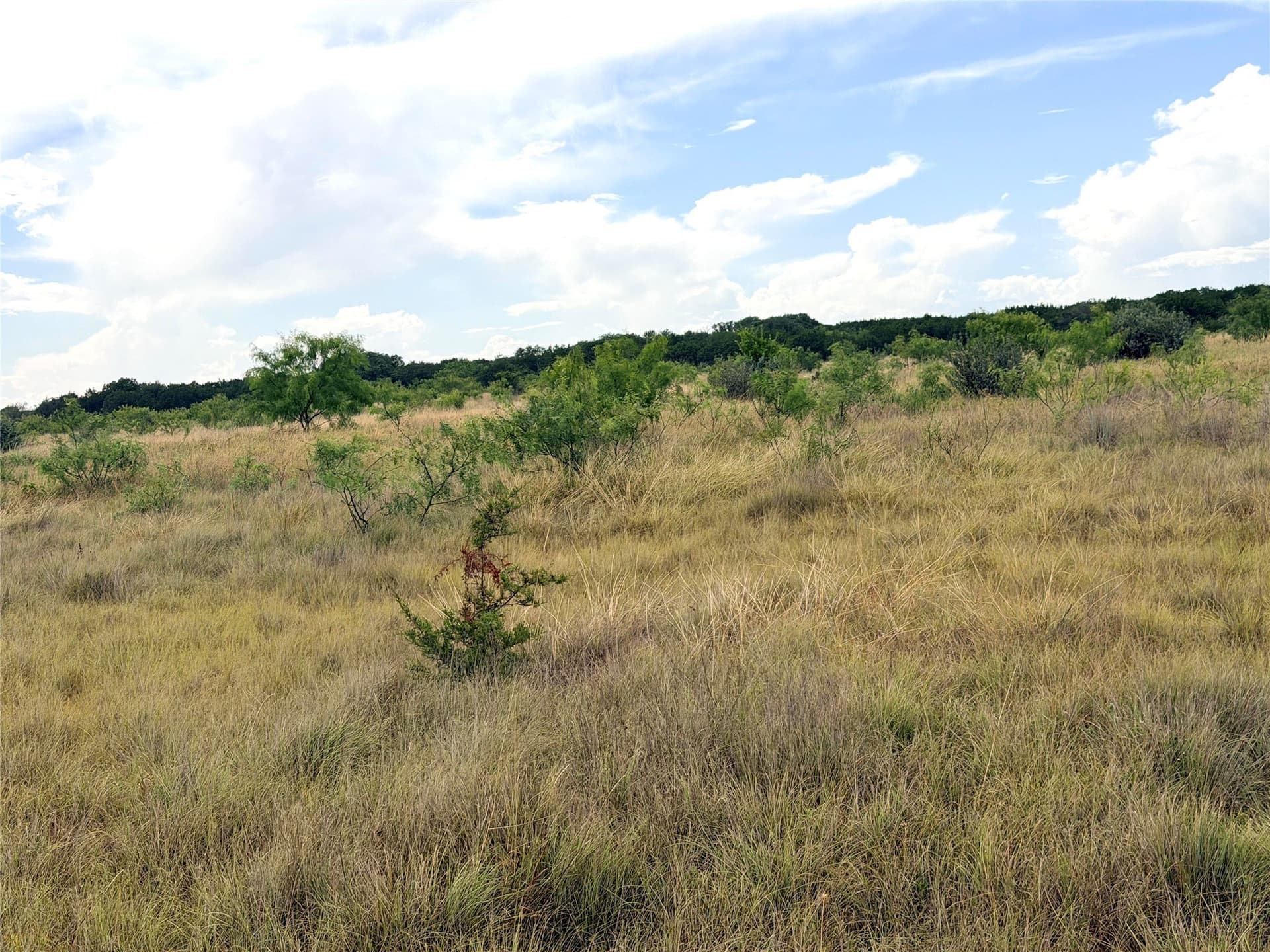 10.5 acres in Mills County - photo 24