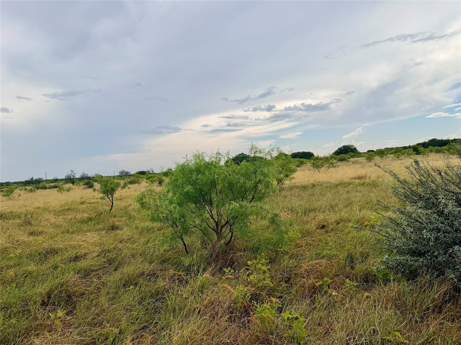 10.5 acres in Mills County - photo 14