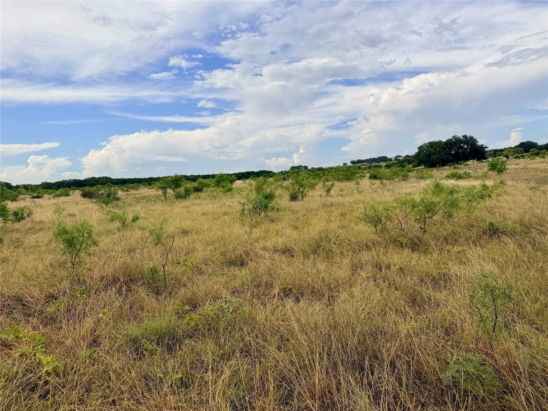10.5 acres in Mills County - photo 28