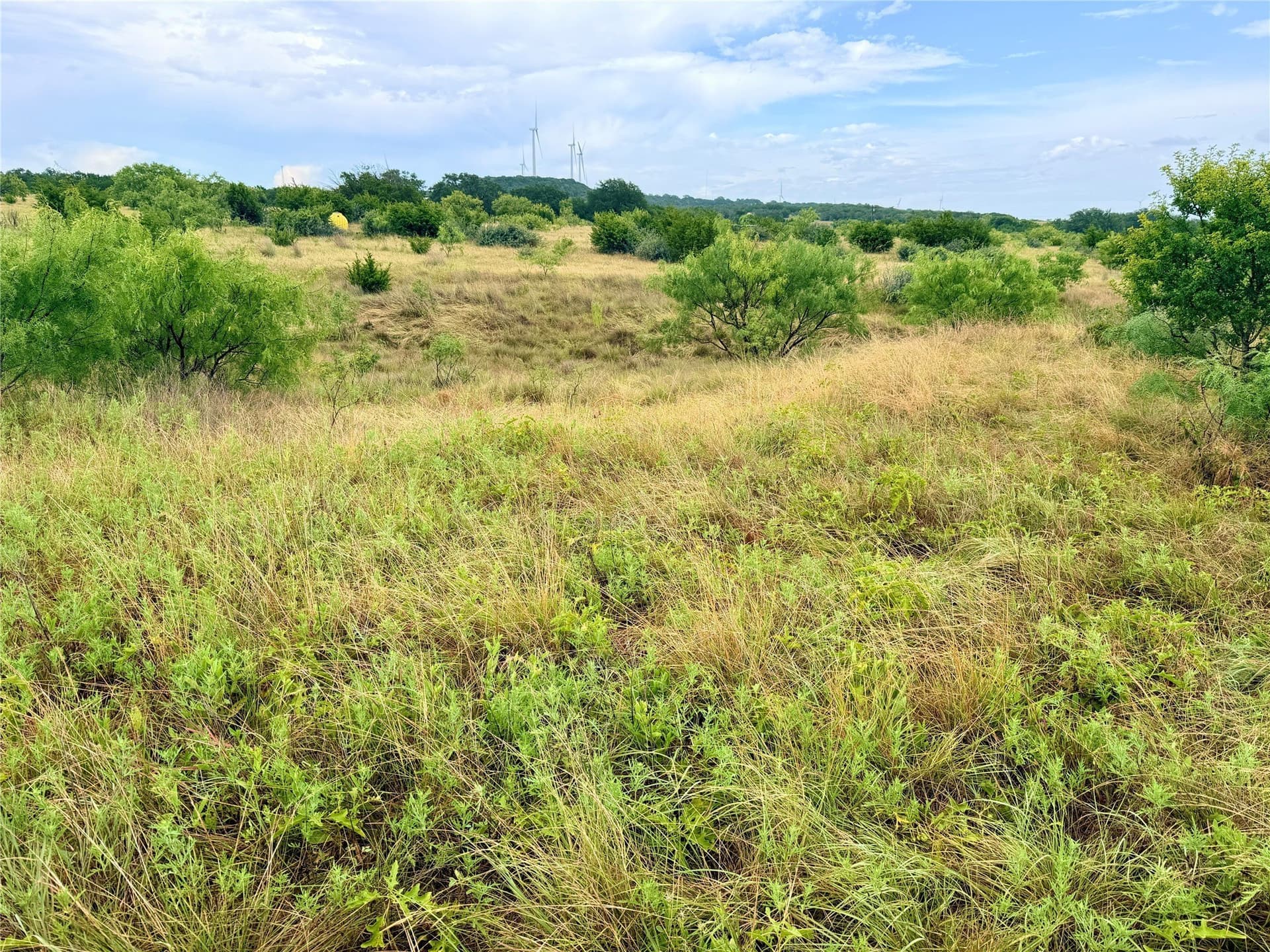 10.5 acres in Mills County - photo 12