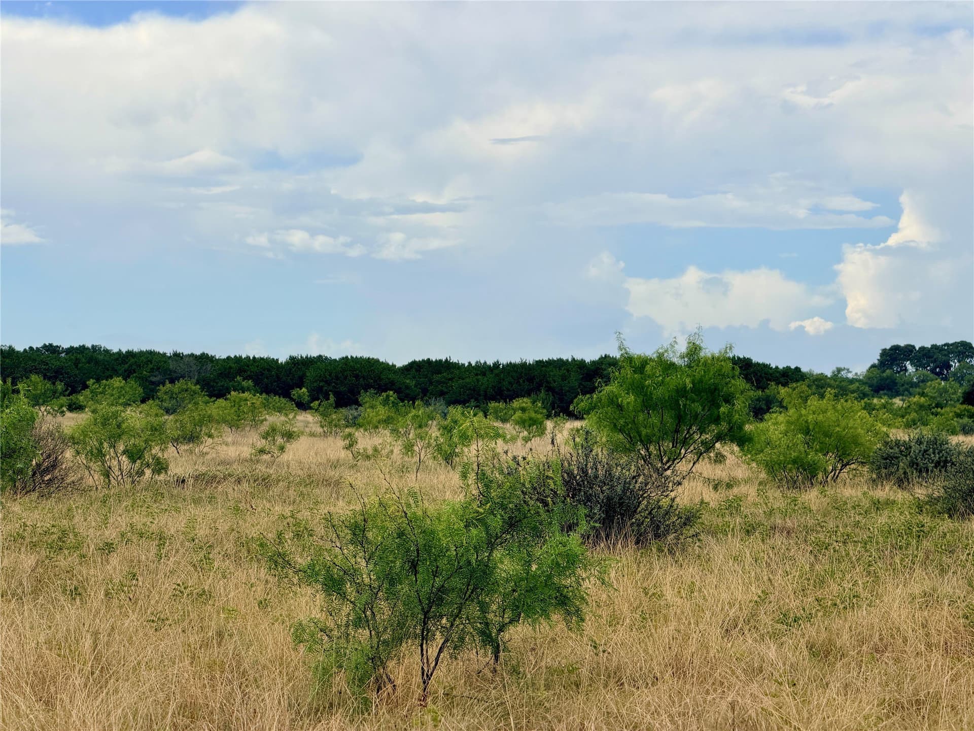 10.5 acres in Mills County - photo 30