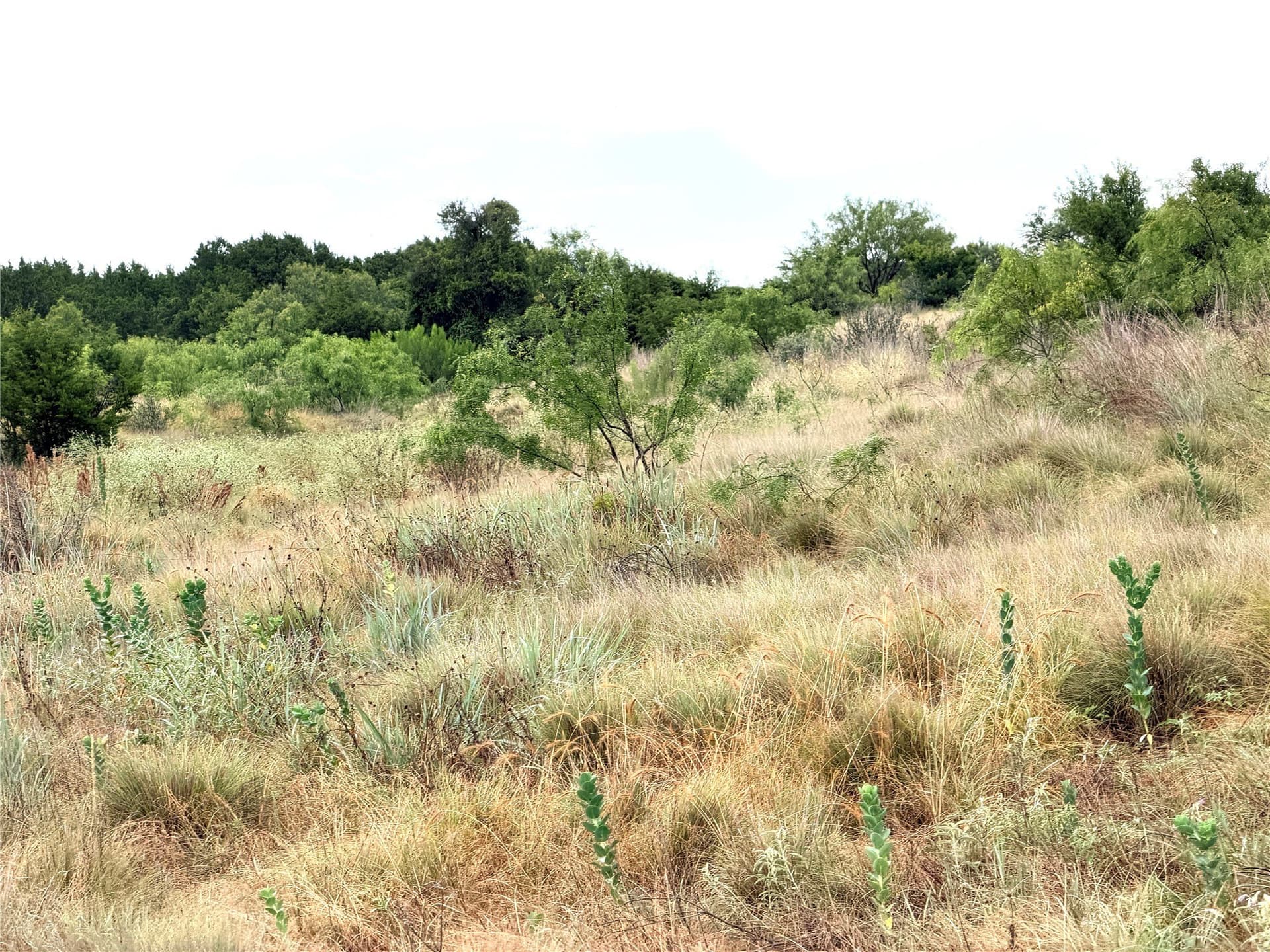 10.5 acres in Mills County - photo 20