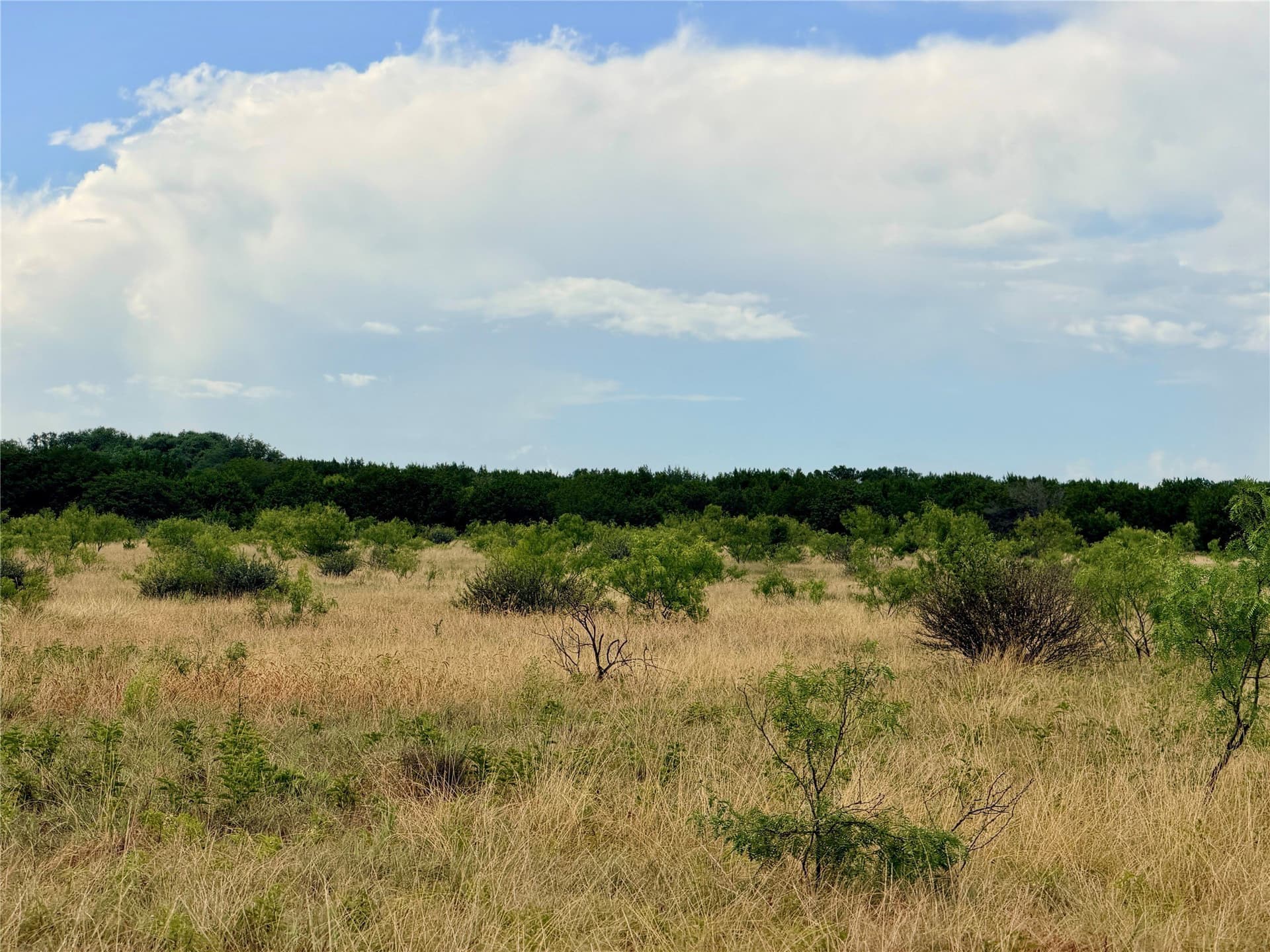 10.5 acres in Mills County - photo 31