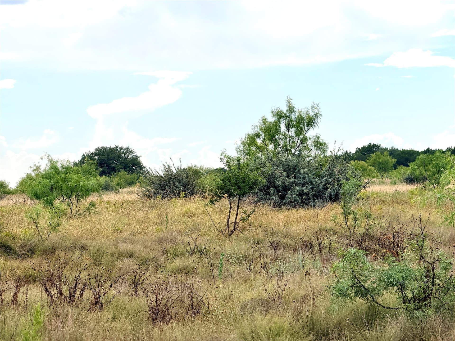 10.5 acres in Mills County - photo 21