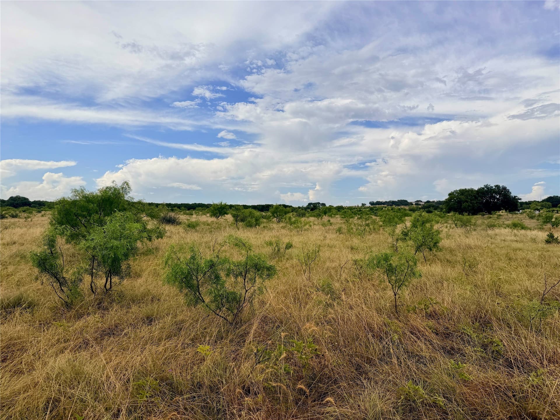 10.5 acres in Mills County - photo 29