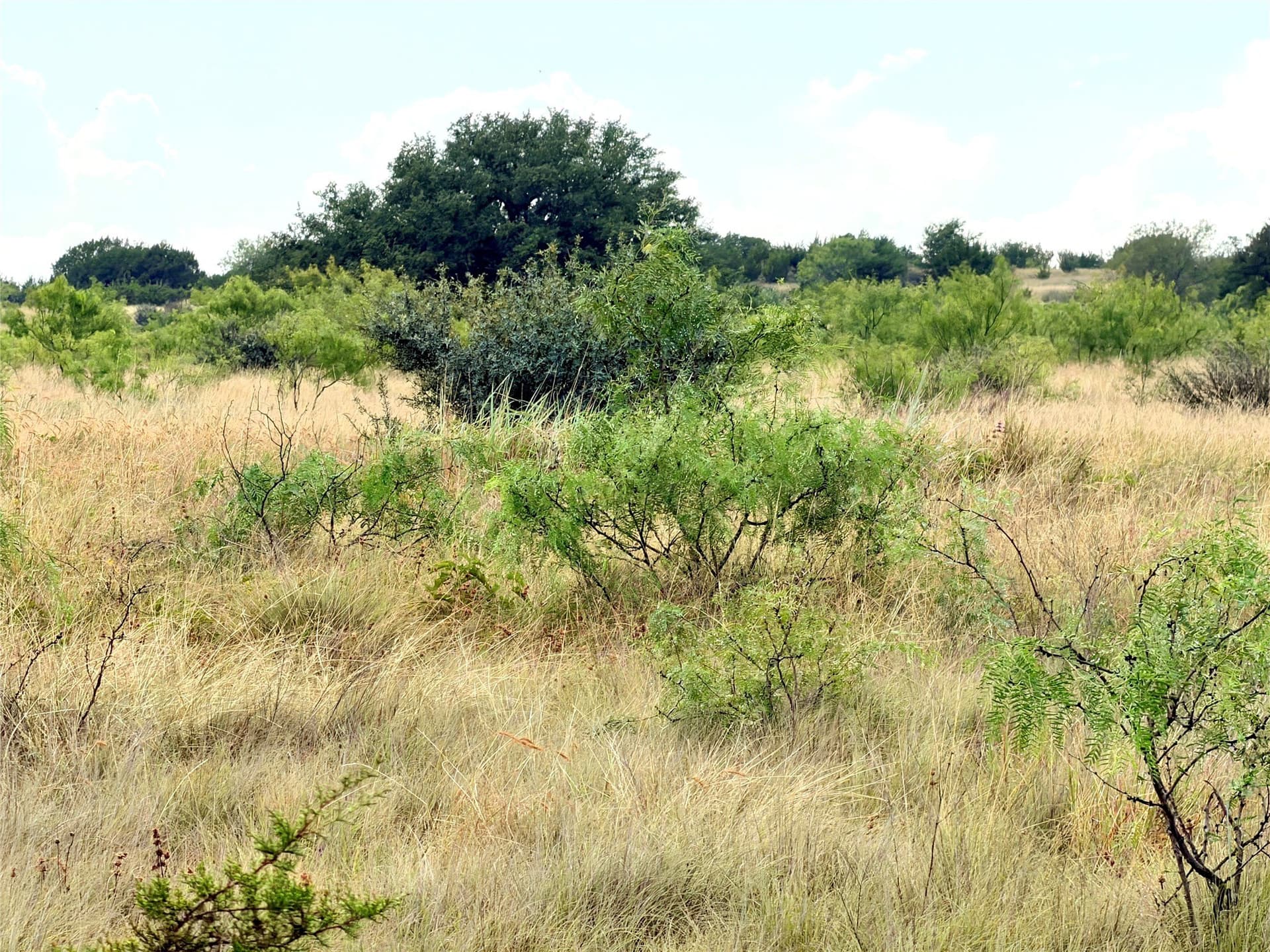 10.5 acres in Mills County - photo 23