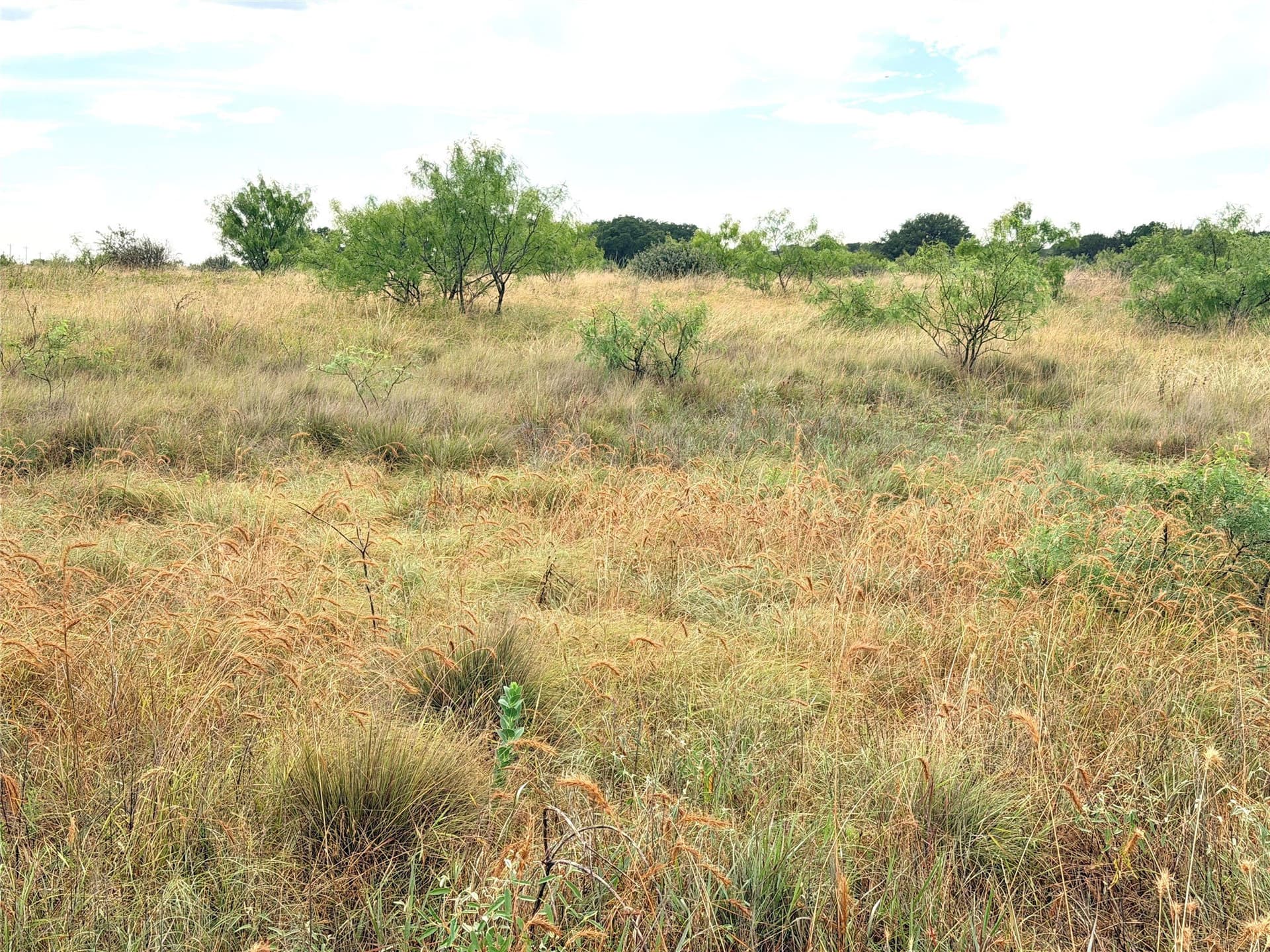 10.5 acres in Mills County - photo 25